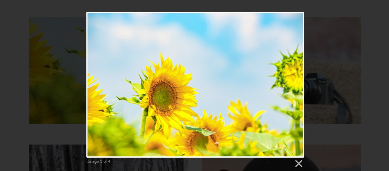 完成図のスクリーンショット