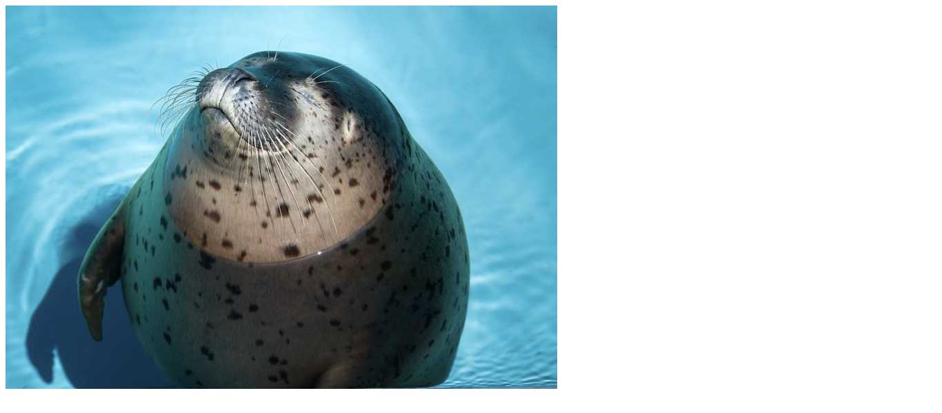 完成図のスクリーンショット