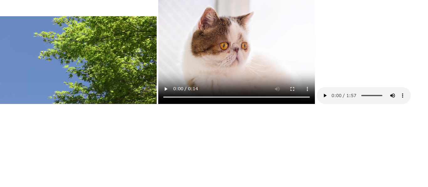 完成図のスクリーンショット